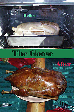 The Goose: Before and After